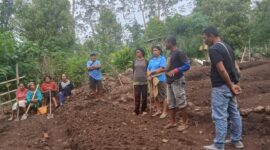 Kelompok Tani Sehati Razong Koe saat membuka lahan baru untuk menanam sayur. (Foto: Nardin Lonnista/GBRNews.id)