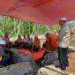 Prosesi acara adat peletakan batu pertama SMPN 12 Kota Komba oleh tokoh adat setempat yang disaksikan langsung oleh jajaran dinas PPO Matim. (Foto: Nardin Lonnista)
