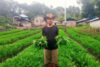 Aloysius Narto tampak memegang sayur kangkung di lahannya. (Foto: Nardin Lonista)