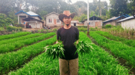Aloysius Narto tampak memegang sayur kangkung di lahannya. (Foto: Nardin Lonista)