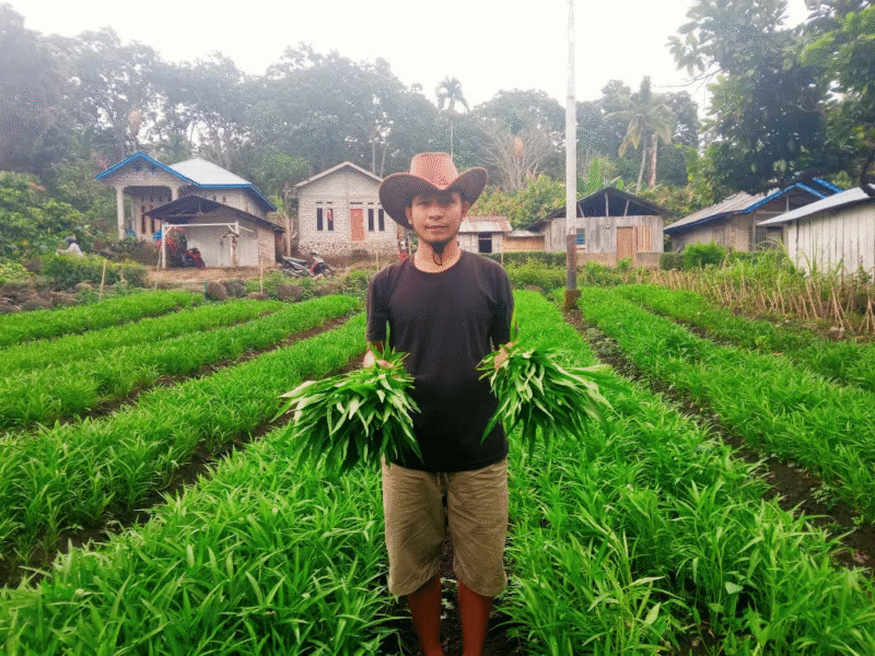 Aloysius Narto tampak memegang sayur kangkung di lahannya. (Foto: Nardin Lonista)