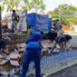 Sat Polairud Polres Manggarai Barat berhasil mengamankan 1.749 liter minyak tanah dan 3 unit truk pengangkut. (Foto: Humas Polres Mabar) 