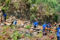 Satuan Polisi Pamong Praja (Satpol PP) Kabupaten Manggarai Barat bergerak cepat menangani pohon yang berpotensi membahayakan pengguna jalan di Jalan Raymundus Rambu, kawasan Waemata, Desa Gorontalo, Kecamatan Komodo, Selasa (14/7/2026) pagi.