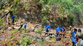 Satuan Polisi Pamong Praja (Satpol PP) Kabupaten Manggarai Barat bergerak cepat menangani pohon yang berpotensi membahayakan pengguna jalan di Jalan Raymundus Rambu, kawasan Waemata, Desa Gorontalo, Kecamatan Komodo, Selasa (14/7/2026) pagi.