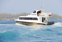 Pukaya Speedboat resmi beroperasi di bawah manajemen PT Komodo Maju Bersama.